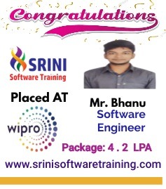 Srini Software Institute Placements