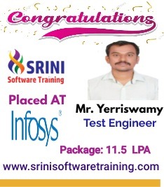 Srini Software Institute Placements