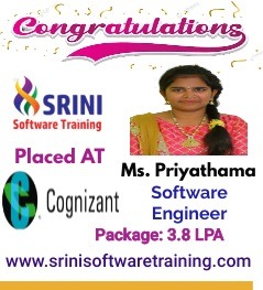 Srini Software Institute Placements
