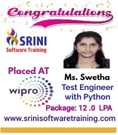 Srini Software Institute Placements
