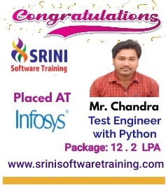 Srini Software Institute Placements