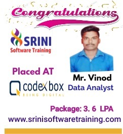 Srini Software Institute Placements