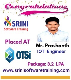 Srini Software Institute Placements