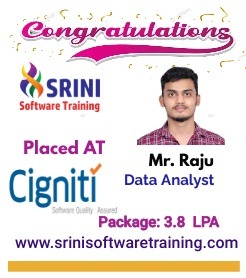 Srini Software Institute Placements