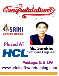 Srini Software Institute Placements