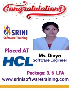 Srini Software Institute Placements