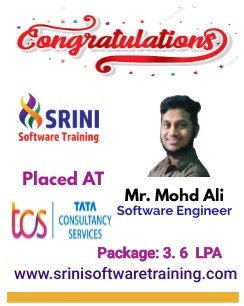 Srini Software Institute Placements
