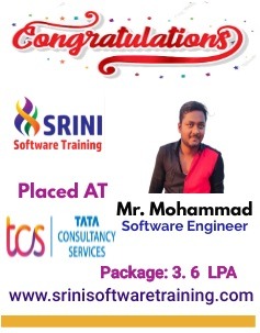 Srini Software Institute Placements