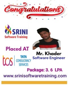 Srini Software Institute Placements