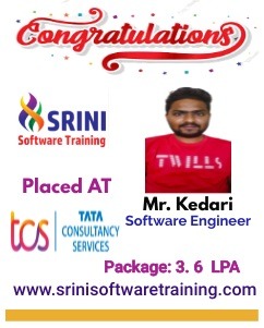 Srini Software Institute Placements