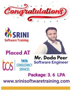 Srini Software Institute Placements