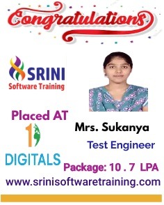 Srini Software Institute Placements