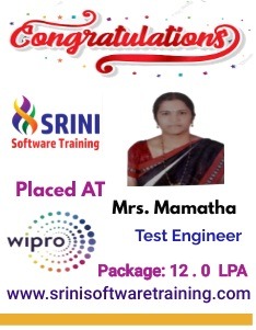 Srini Software Institute Placements