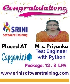 Srini Software Institute Placements