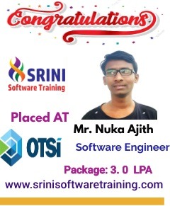 Srini Software Institute Placements