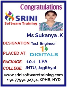 Srini Software Institute Placements