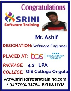 Srini Software Institute Placements