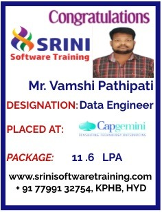 Srini Software Institute Placements
