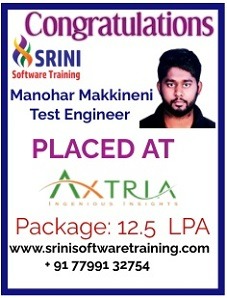 Srini Software Institute Placements