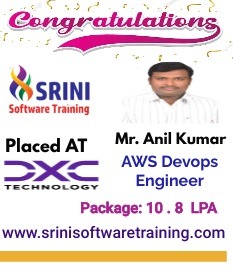 Srini Software Institute Placements