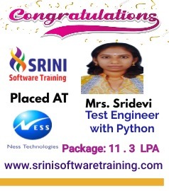 Srini Software Institute Placements