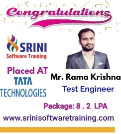 Srini Software Institute Placements