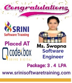 Srini Software Institute Placements