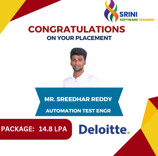 Srini Software Institute Placements