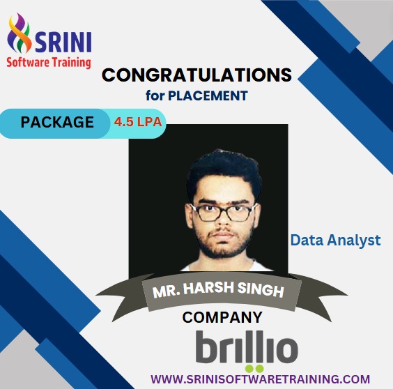Srini Software Institute Placements