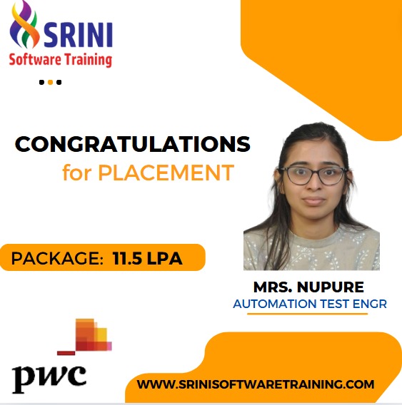 Srini Software Institute Placements