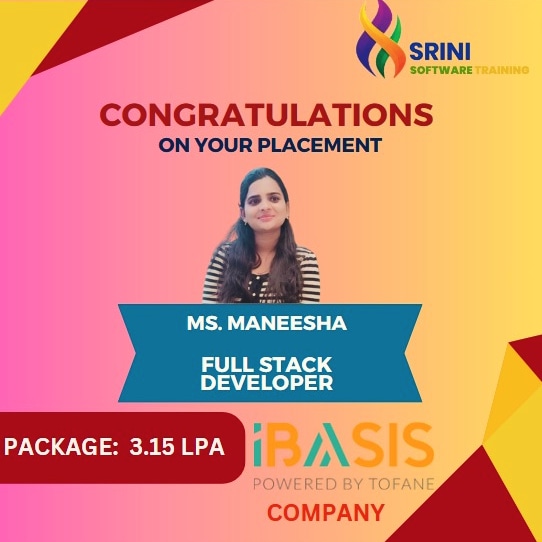 Srini Software Institute Placements